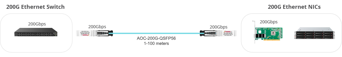 200G QSFP56 to QSFP56 AOC with NIC